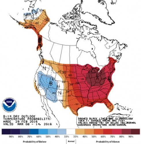 Forecast from Climate Prediction Center showing a high probability of above average temperatures during the first two weeks of March 