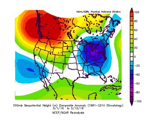 Average departure from normal in 500mb heights from May 1-15th