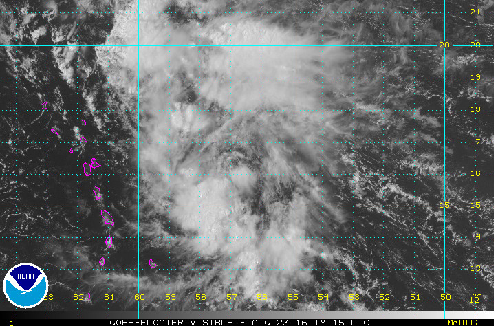 Invest 99L looks pretty messy right now. Via NOAA SSD