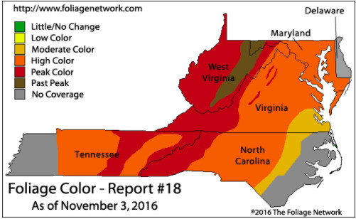 A great weekend for leaf peeping! Via Fall Foliage Network.