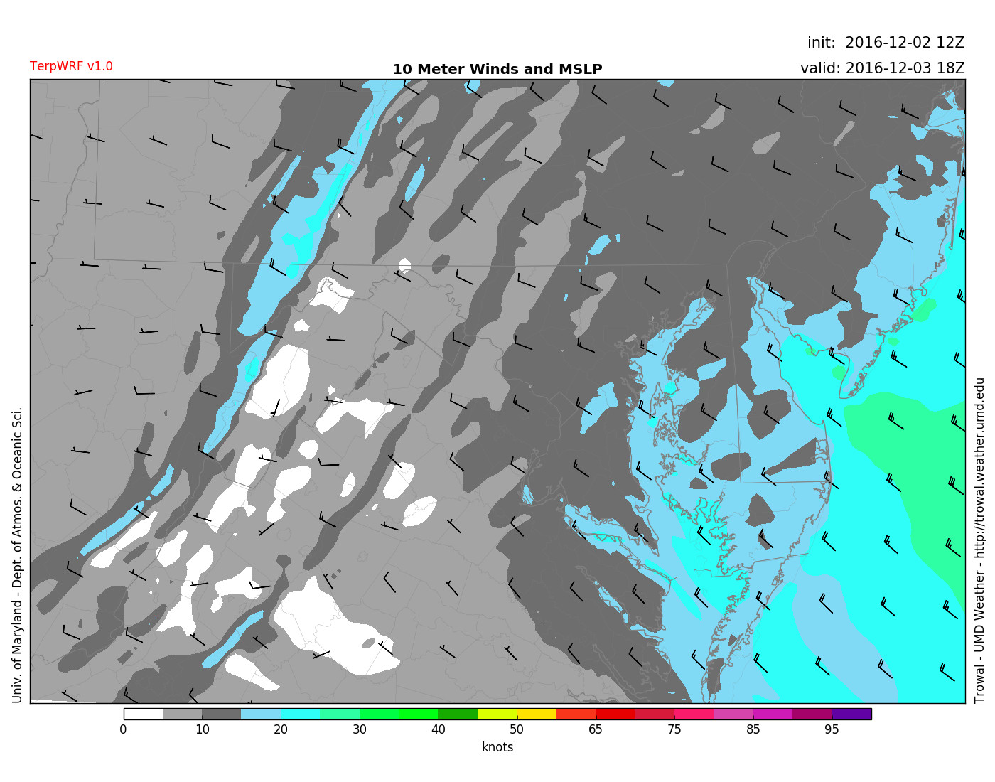 TerpWRF wind forecast for Saturday afternoon