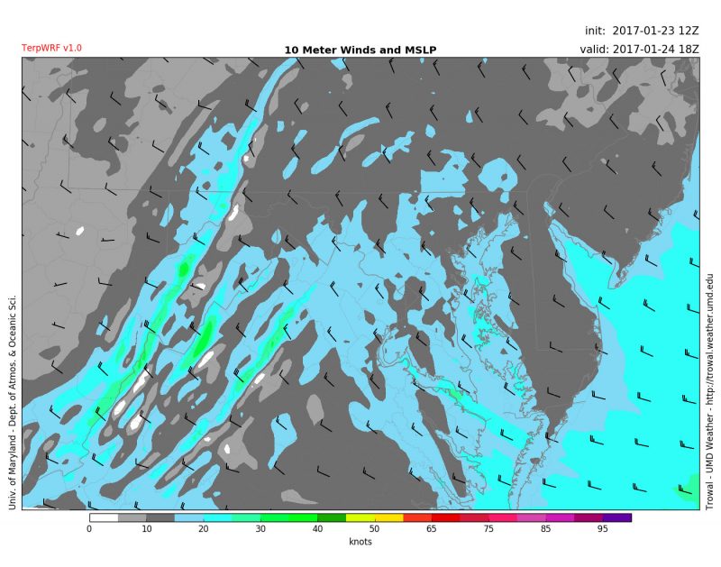 TerpWRF showing windy conditions on Tuesday