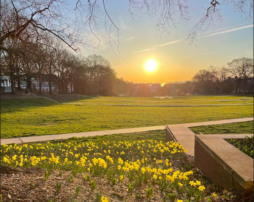 Morning Update: Mild Temperatures and Sunny Skies to Continue – UMD Weather